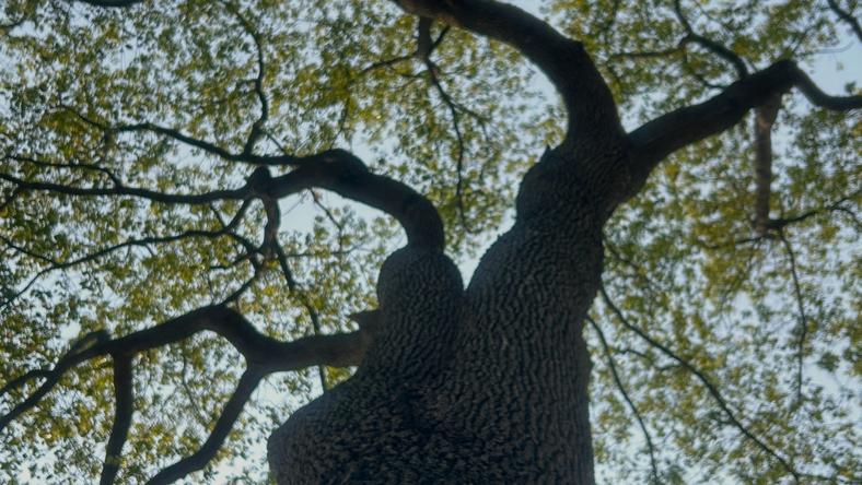 究竟是什么“拖慢”了时间的脚步?